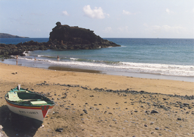 playa2.JPG (117209 bytes)